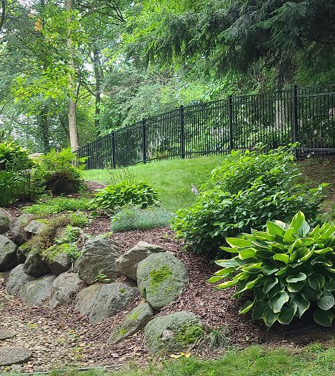 Ornamental Iron Fence