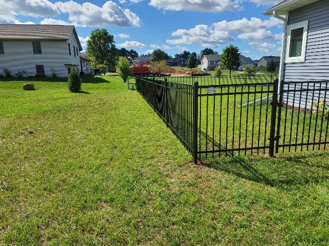 Ornamental Iron Fence