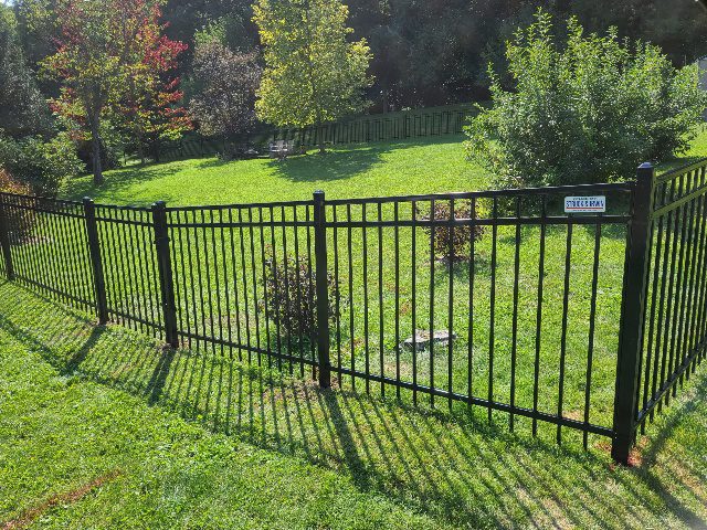 Ornamental Iron Fence
