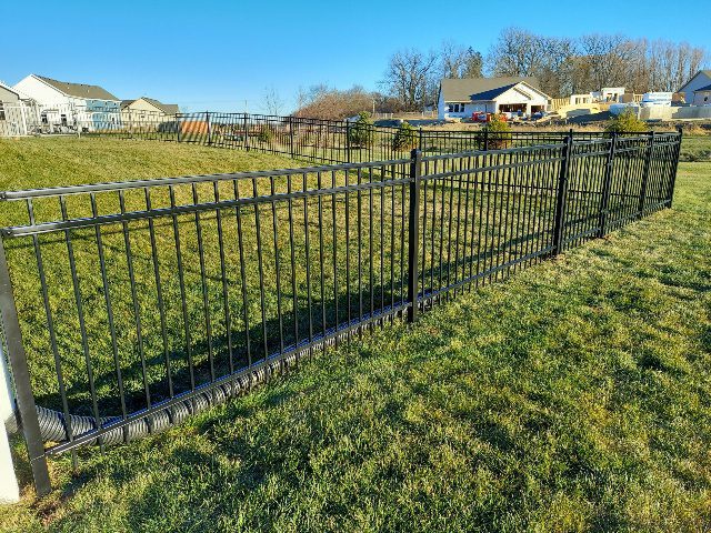 Ornamental Iron Fence